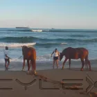 Maatskappy 17 beeld HORSEBACK BEACH ADVENTURES Riding in Durban KZN