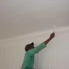 Business 12 image IKHWEZELIHLEPAINTERS & CLEANING SERVICES Speciality Wall Coating in Port Elizabeth EC