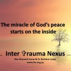 Maatskappy 4 beeld INTER TRAUMA NEXUS Voluntary Association in Pretoria GP