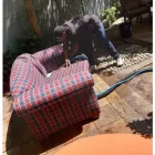 Business 15 image KEMPTON PARK CLEANING SERVICE Water Extraction Services in Kempton Park GP