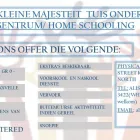 Maatskappy 1 beeld KLEINE MAJESTEIT TUIS ONDERRIG Tutors in Krugersdorp GP