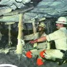 Maatskappy 2 beeld KNEELOK, THE PARAMOUNT ORANGE KNEE GUARD Personal Protective Equipment PPE in Alberton GP