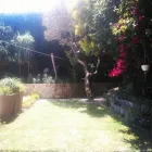 Maatskappy 2 beeld LANDSCAPE EAST LONDON Landscaping in East London EC