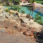 Maatskappy 2 beeld LOCAL TREE FELLING SERVICES | BUDGET TREE FELLERS Tree Felling Or Stump Removal in Port Elizabeth EC