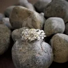 Business 51 image LSMJ MANUFACTURING JEWELLERS Rapairs and spare parts in Meyerton GP