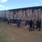 Business 2 image MALOTI TRUCK CENTRE Truck Repairs in Estcourt KZN