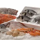 Business 5 image MEGA FOOD SUPPLIES PTY LTD Vegetables in Johannesburg GP