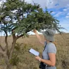 Business 3 image MILNEX ENVIRONMENTAL CONSULTANTS Environmental Consultants in Potchefstroom NW