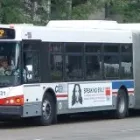 Business 6 image MITTANO CONSTRUCTION PLANT AND LIFTING MACHINES OPERATORS Truck Mounted Cranes in Johannesburg GP