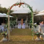 Business 6 image MULTITAINMENT ZONE Wedding Photography in Johannesburg GP