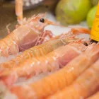 Business 4 image NICKS FISHMONGER ILLOVO (PTY) LTD Sea Food in Sandton GP