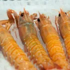 Business 6 image NICKS FISHMONGER ILLOVO (PTY) LTD Sea Food in Sandton GP