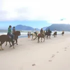 Maatskappy 1 beeld NOORDHOEK BEACH RIDES Riding Trails in Cape Town WC