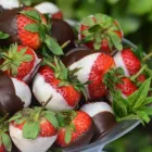 Business 3 image NORMA & VILMA CATERERS Wedding Catering in Johannesburg GP