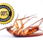 Business 1 image PEST CONTROL PROS - WEST COAST Pest Control Work in Langebaan WC