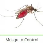Business 9 image PEST CONTROL SPECIALISTS (TZANEEN) Tzaneen Pest control services specialists in Tzaneen ZAF