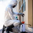 Maatskappy 2 beeld PEST MANAGERS CAPE TOWN Pest Control in Cape Town WC