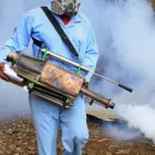 Maatskappy 3 beeld PEST MANAGERS CAPE TOWN Pest Control in Cape Town WC