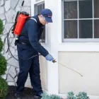 Maatskappy 1 beeld PEST MANAGERS CAPE TOWN Pest Control in Cape Town WC