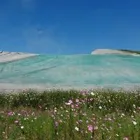 Maatskappy 12 beeld POLYMER PAVEMENTS (PTY) LTD Roads And Surfacing in Alberton GP