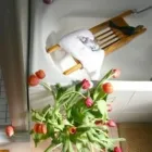 Business 11 image PROSPECT COTTAGE, KNYSNA Self Catering in Knysna WC