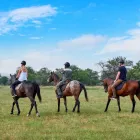 Business 17 image PROTEA HOTEL BY MARRIOTT POLOKWANE RANCH RESORT Za Hotel in Polokwane LP