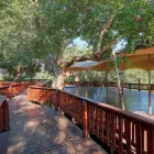 Business 76 image PROTEA HOTEL BY MARRIOTT POLOKWANE RANCH RESORT Za Hotel in Polokwane LP