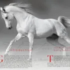 Business 1 image RAMBORABBIT.COM Website Design in Johannesburg GP