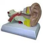 Maatskappy 7 beeld REBOCHEM Ph Meters in Mokopane LP