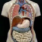 Maatskappy 8 beeld REBOCHEM Ph Meters in Mokopane LP