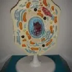 Maatskappy 33 beeld REBOCHEM Ph Meters in Mokopane LP