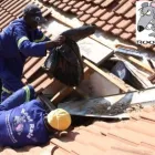 Maatskappy 5 beeld ROOF RATS Vacuum Ceiling in Johannesburg GP