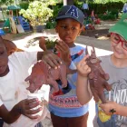 Business 5 image ROOSEVELT EXTENSION NURSERY SCHOOL Nursery School in Johannesburg GP