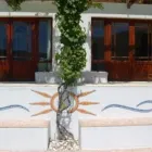 Maatskappy 1 beeld RUARK DU TOIT MOSAIC ART Stepping Stones in Cape Town WC