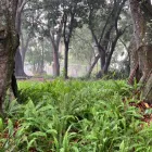 Maatskappy 1 beeld SABAAN GUEST FARM AND EVENTS VENUE Self Catering in Hazyview MP