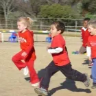 Business 5 image SANDHURST PRE- & PREPARATORY COLLEGE World-Class Schooling in Johannesburg GP