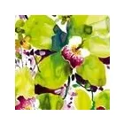 Maatskappy 8 beeld SASI WALLPAPER Wallpaper Suppliers in Johannesburg GP