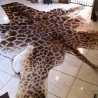 Business 1 image SOWETOG AMASKIN Zebra Attoman in Soweto GP