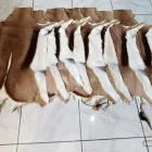 Business 2 image SOWETOG AMASKIN Zebra Attoman in Soweto GP