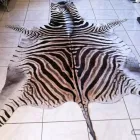 Business 3 image SOWETOG AMASKIN Zebra Attoman in Soweto GP