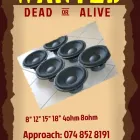 Maatskappy 3 beeld SPEAKER REPAIRS SA Woofers in Cape Town WC