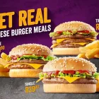 Business 1 image STEERS Wors in Bethal MP