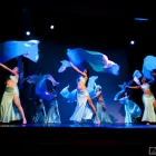 Maatskappy 7 beeld THE BELLY DANCE ACADEMY - ORIENTAL INVASION Weight Loss Service in Pretoria GP