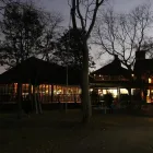 Business 5 image THE BLUE CRANE RESTAURANT AND BAR Tourists in Pretoria GP