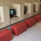 Business 2 image THE HOUSE OF RIBS BEDFORDVIEW Stylish in Johannesburg GP