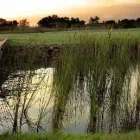 Business 3 image THE LAKES BOUTIQUE LODGE Wireless Internet in Pretoria GP