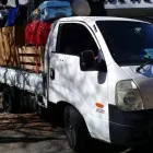Maatskappy 4 beeld THOMAS GOLDEN SERVICES Tree Felling in Pretoria GP