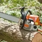 Business 3 image TREE FELLERS RANDBURG - CAMMY TREE FELLING Tree Felling Or Stump Removal in Randburg GP