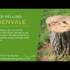 Maatskappy 2 beeld TREE FELLING EDENVALE Tree Felling Or Stump Removal in Edenvale GP
