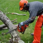 Business 3 image TREE FELLING Stellenbosch in Stellenbosch WC